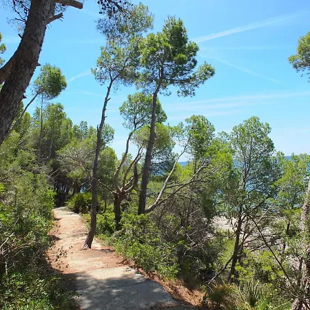 Vil·la Mimosa L'Ametlla de Mar