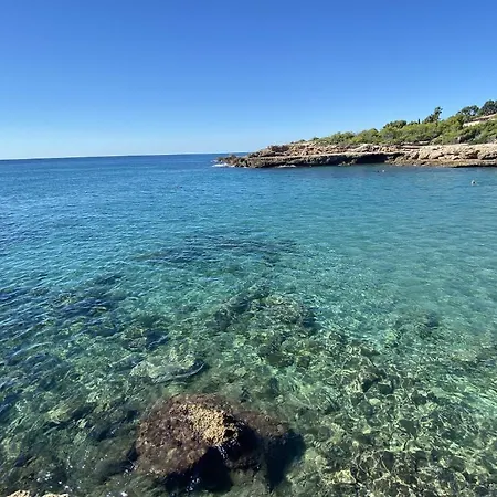 Mimosa Villa