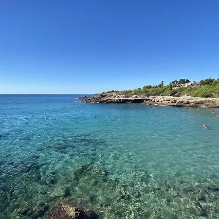 Mimosa Vil·la L'Ametlla de Mar