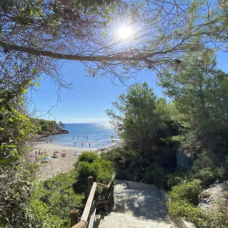 Mimosa Villa