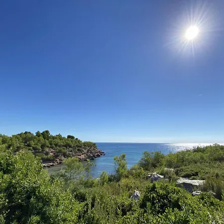 Villa Mimosa *