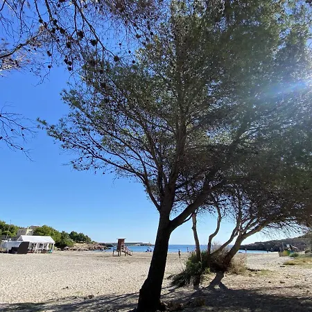 Mimosa Vil·la L'Ametlla de Mar