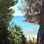 Mimosa Villa *