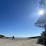Mimosa * L'Ametlla de Mar