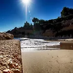 Mimosa L'Ametlla de Mar