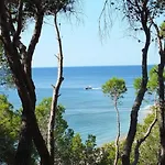 Villa Mimosa