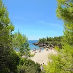 Mimosa Villa